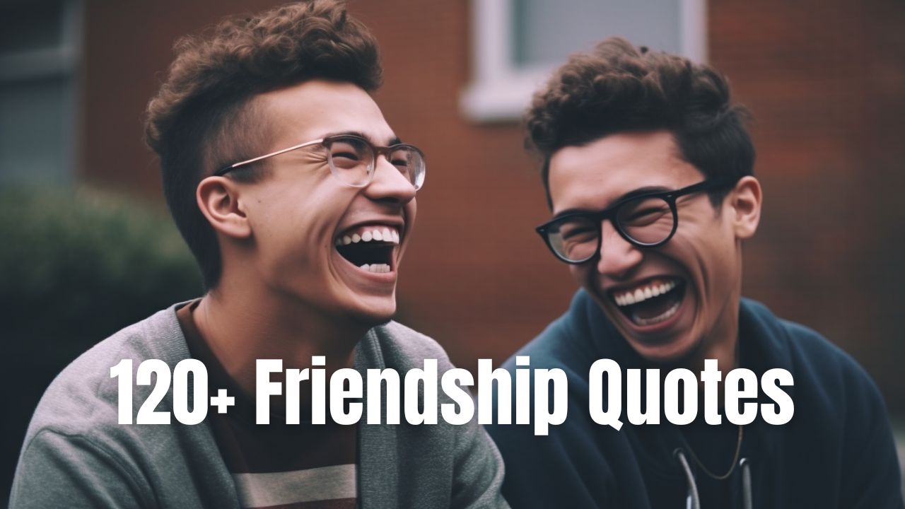 Friendship Quotes