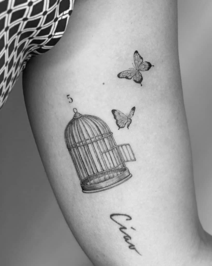 Birds Flying Out Of Cage