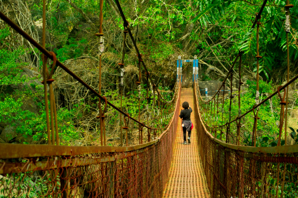 Best Time to Visit North East best time to visit northeast